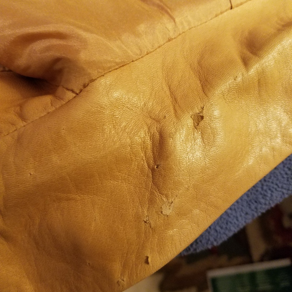 Beautiful Jacket - image 3